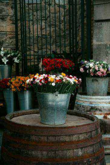 Eco arrangement 4